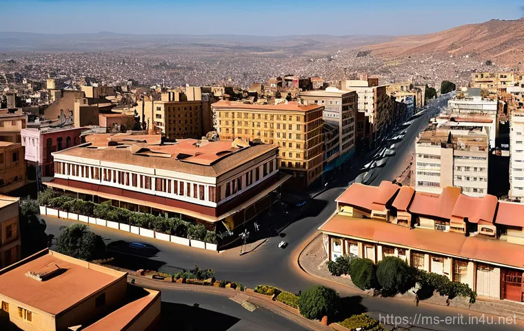 에리트레아의 도시 계획 - "A warm and inviting depiction of a traditional Eritrean coffee ceremony taking place outdoors in a ... 에리트레아의 도시 계획 - "A warm and inviting depiction of a traditional Eritrean coffee ceremony taking place outdoors in a ...